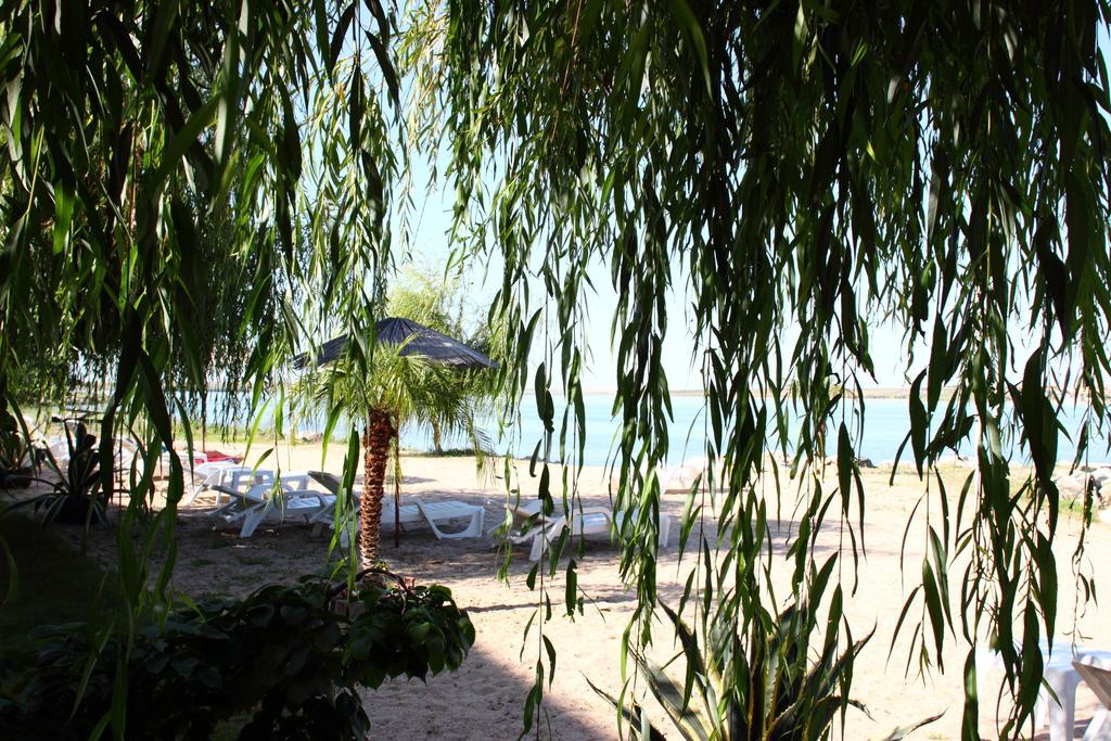 Vila Raluca เอโฟริเอนอร์ด ภายนอก รูปภาพ